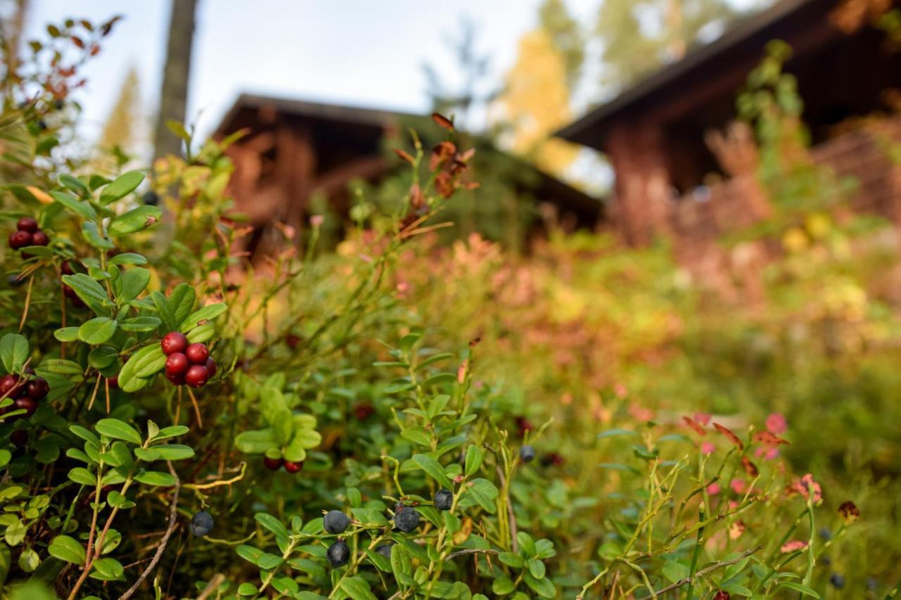 Lomalehto Cottages Ahvionniemi Eksteriør bilde